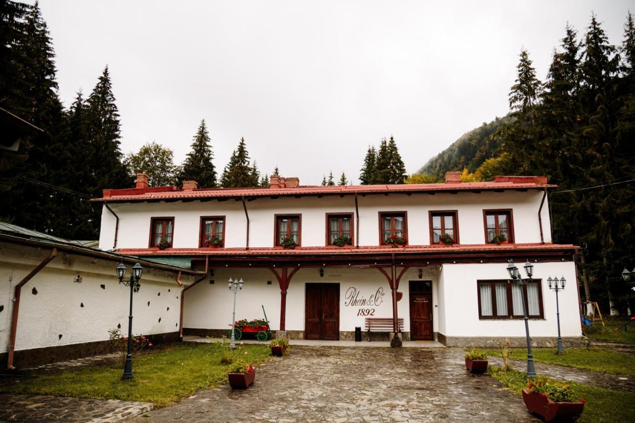 Pensiunea Rhein Азуга Экстерьер фото