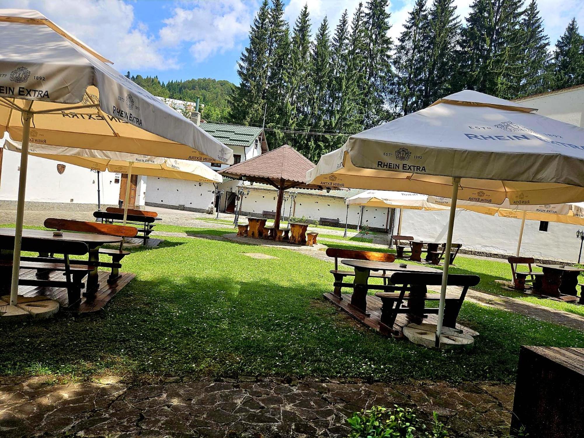 Pensiunea Rhein Азуга Экстерьер фото