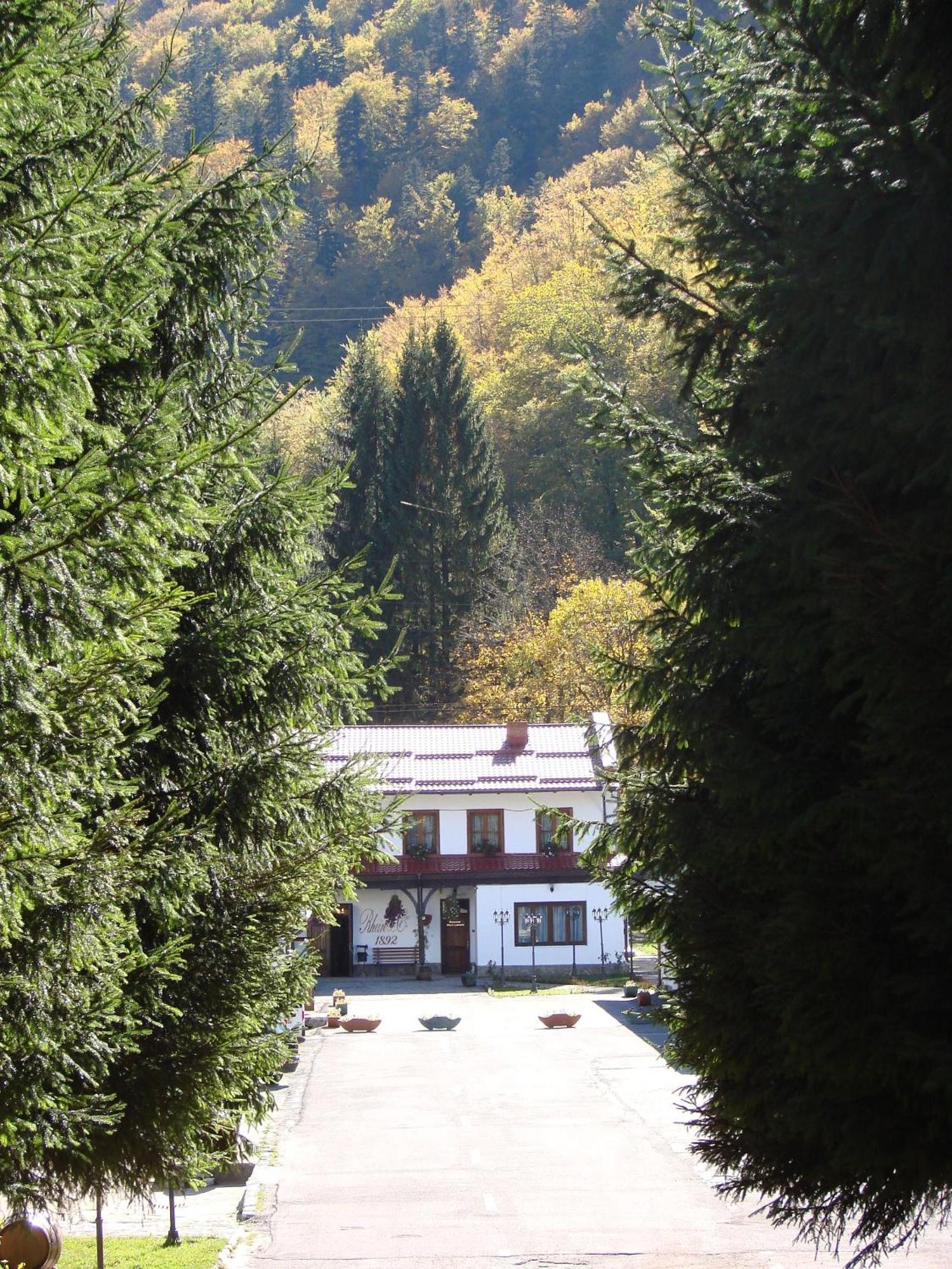 Pensiunea Rhein Азуга Экстерьер фото