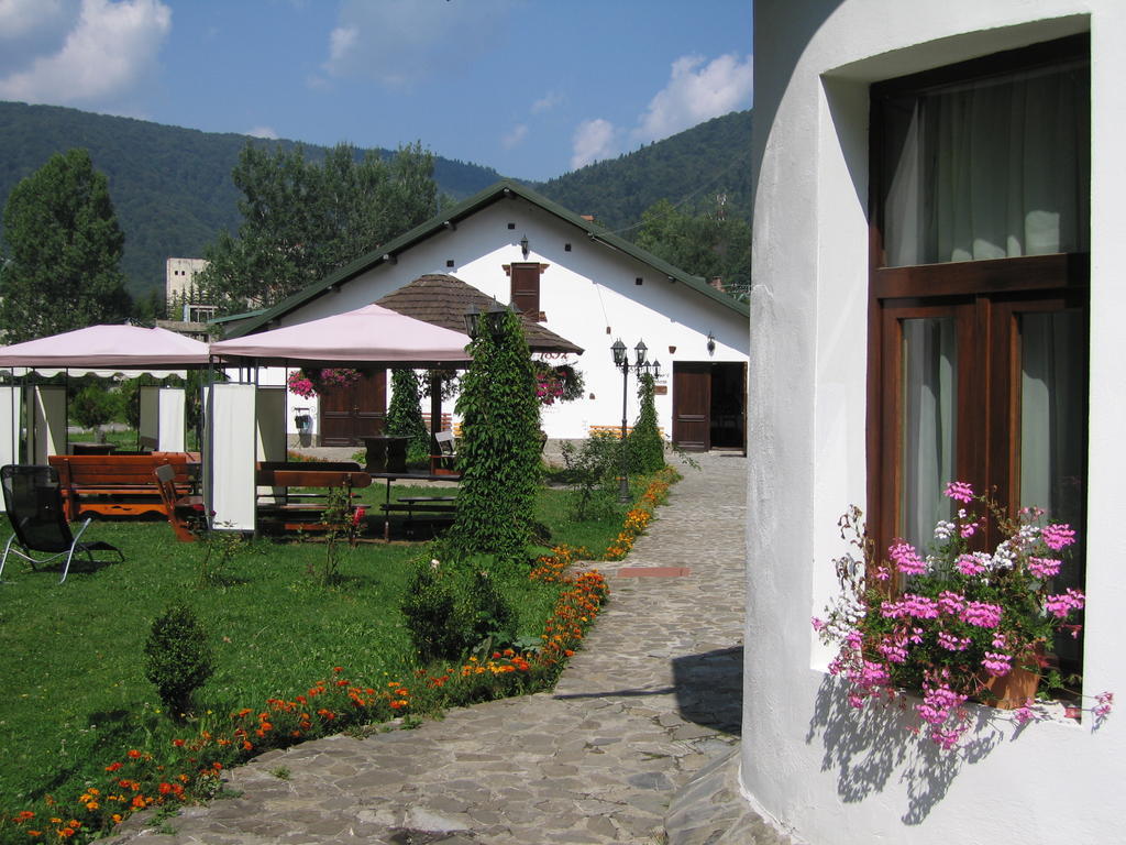 Pensiunea Rhein Азуга Экстерьер фото